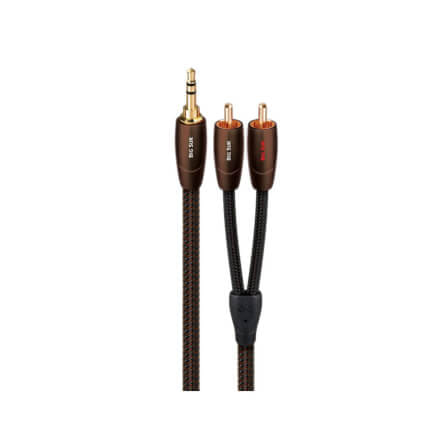 สายสัญญาณอนาล็อก AUDIOQUEST : BIG SUR (MINI TO RCA) (1.0M)_0